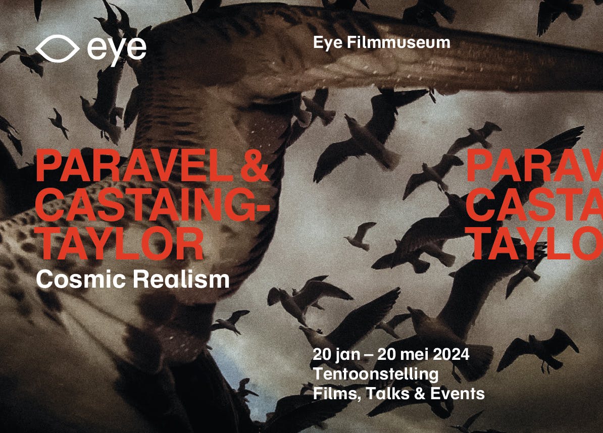 Vér��na Paravel & Lucien Castaing-Taylor - Cosmic Realism