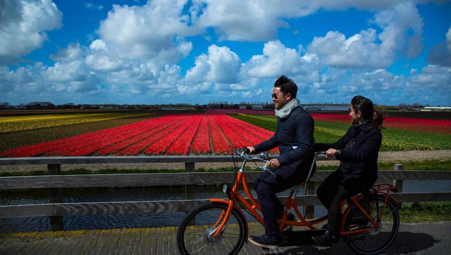 Fietsroute langs Amsterdamse bloemenpracht