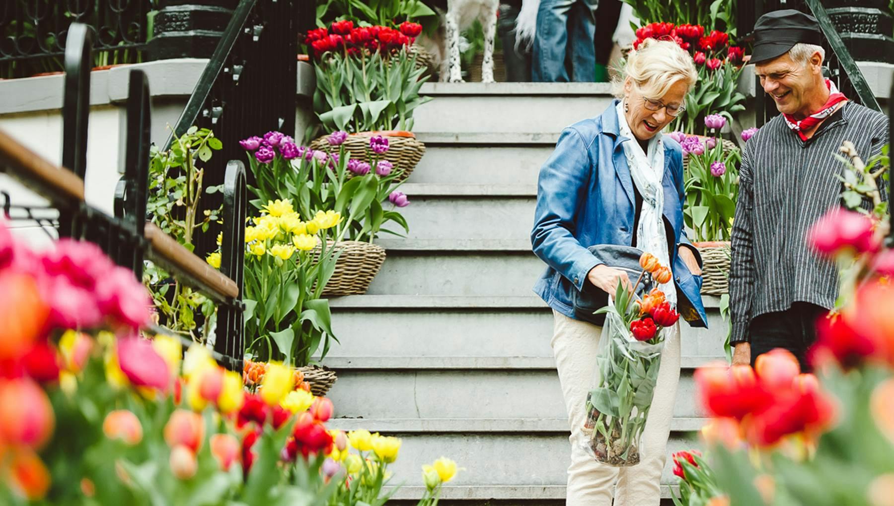 Where to see the iconic tulips in and around Amsterdam
