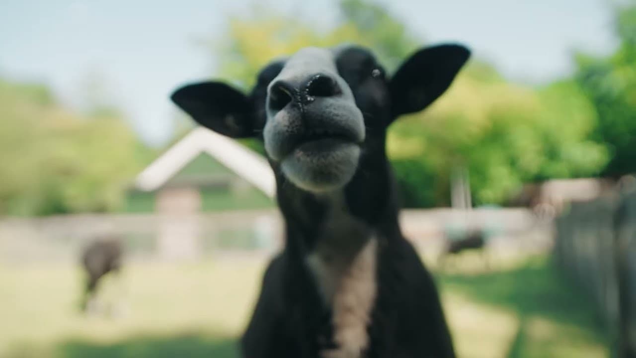 Have you been to these places? - Video thumbnail