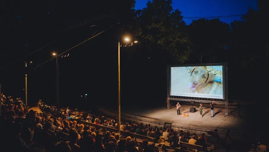 Cinetree Forest Film Festival, outdoor cinema movie in the woods Amsterdams Bostheater