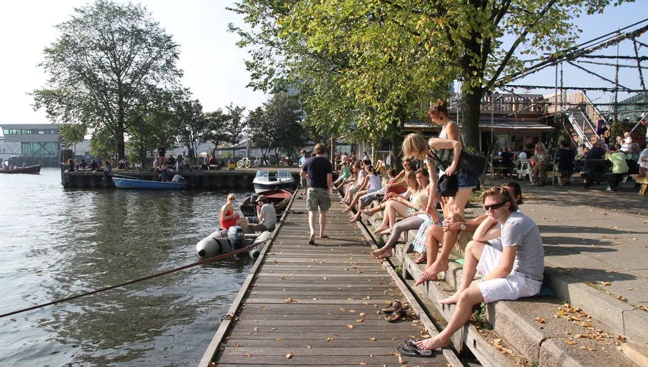 People sitting on Hanneke's Boom terrace and swimming