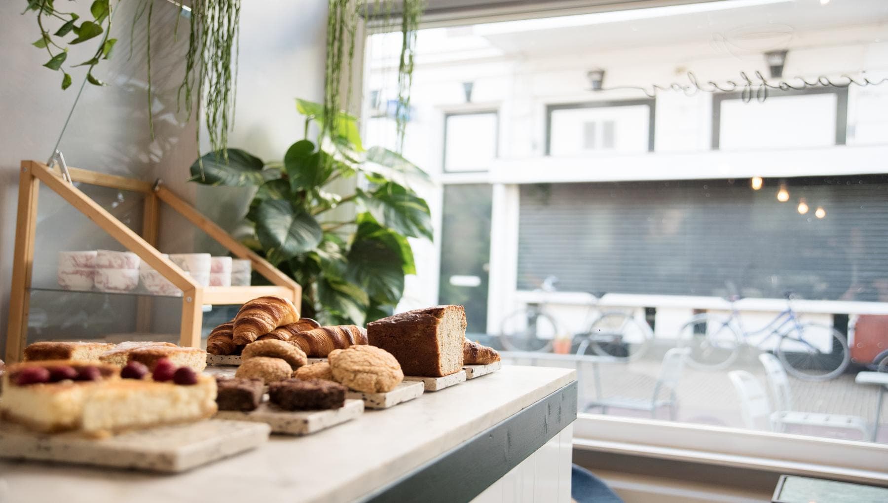 Restaurants and bars in Haarlem I amsterdam