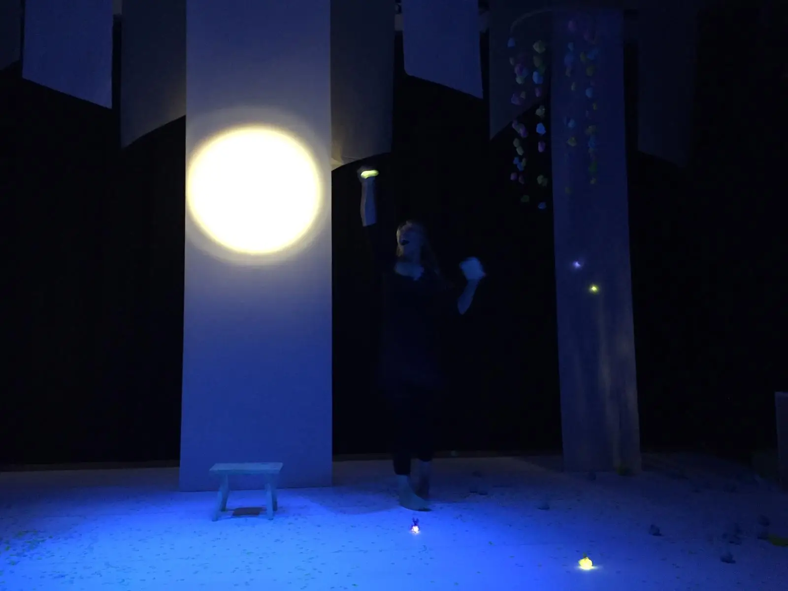 De maan bij de Vlindertuin