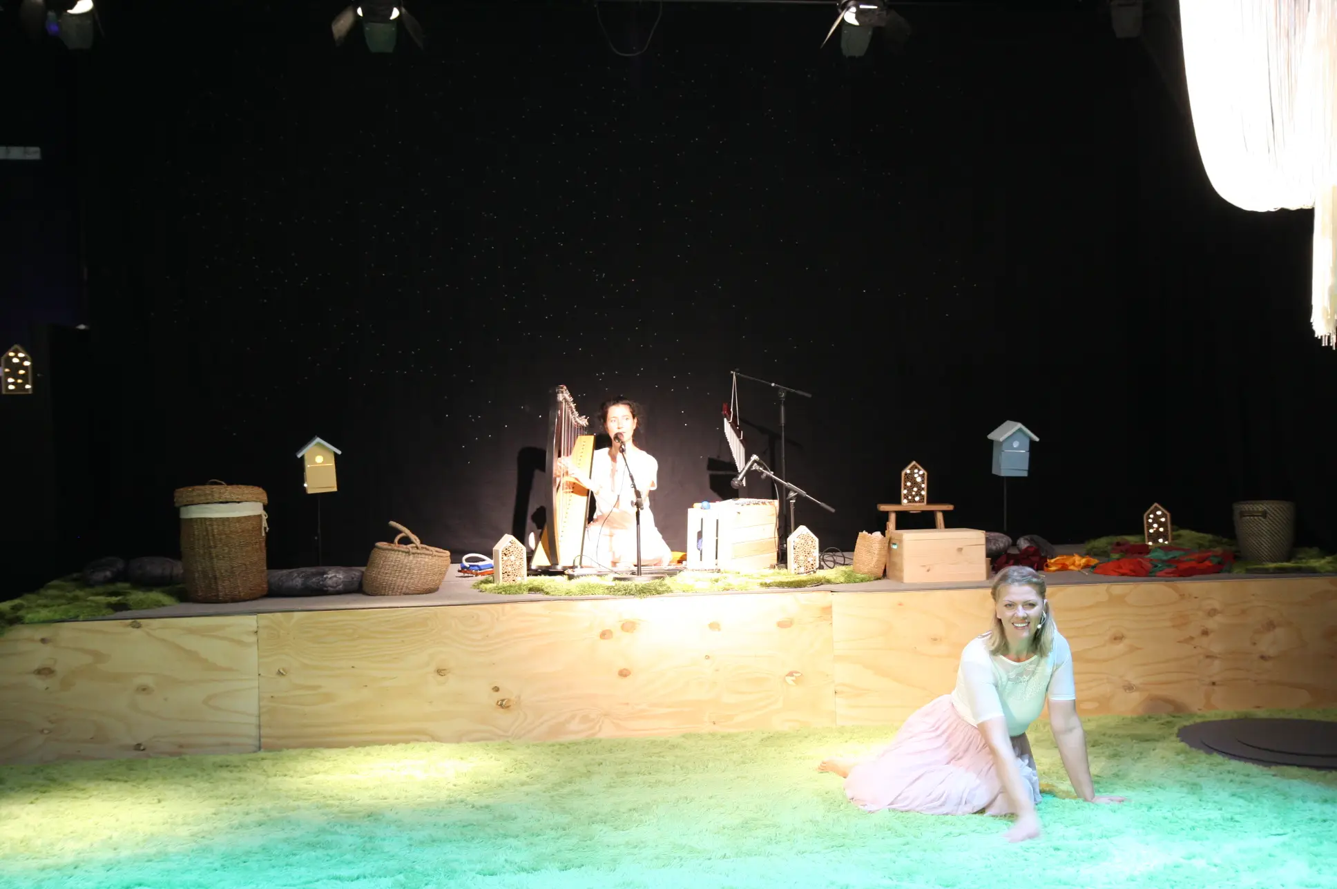 Harpiste en Actrice Kindervoorstelling Weide