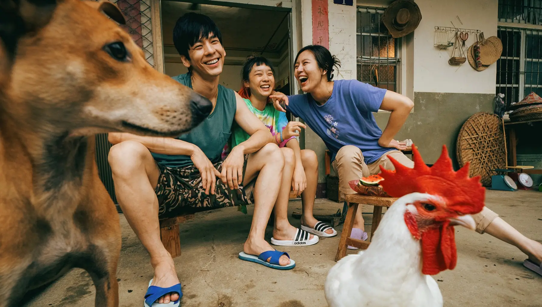 Salli - by Lien Chien Hung