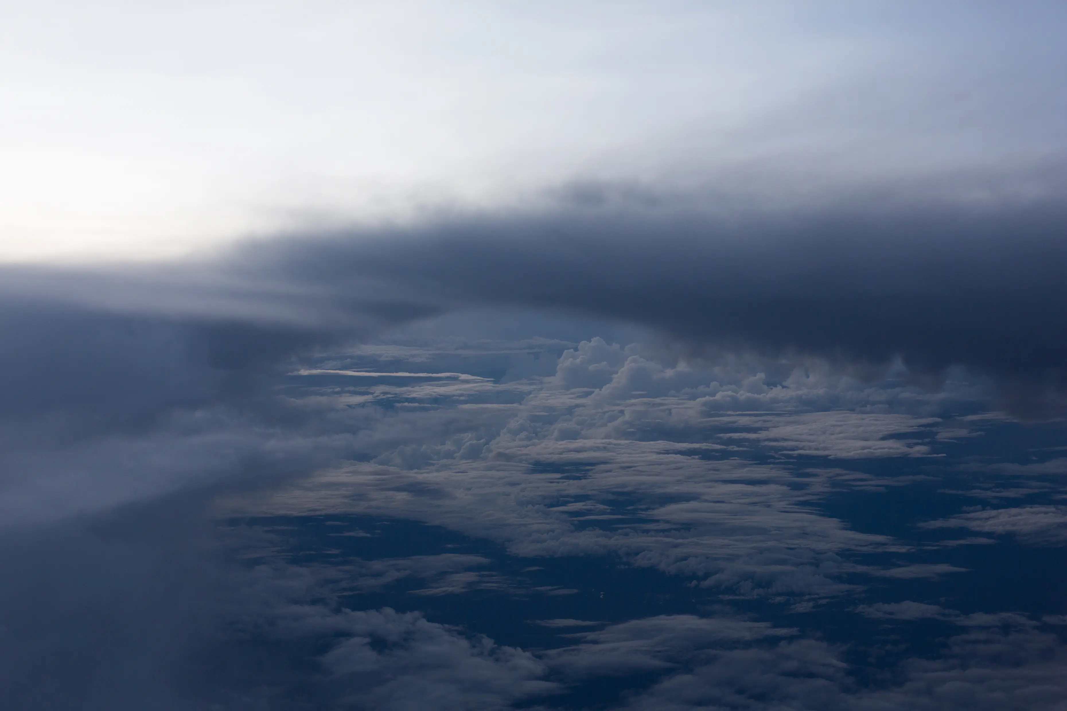 Amazon (Wolfgang Tillmans, 2013)