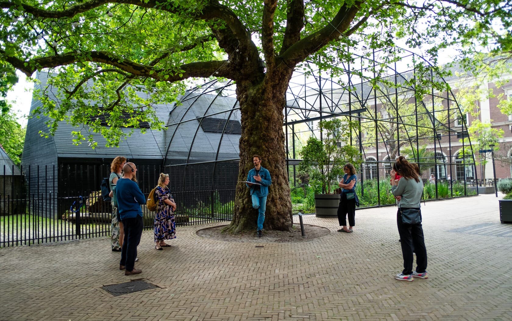 Onder dwang over grenzen