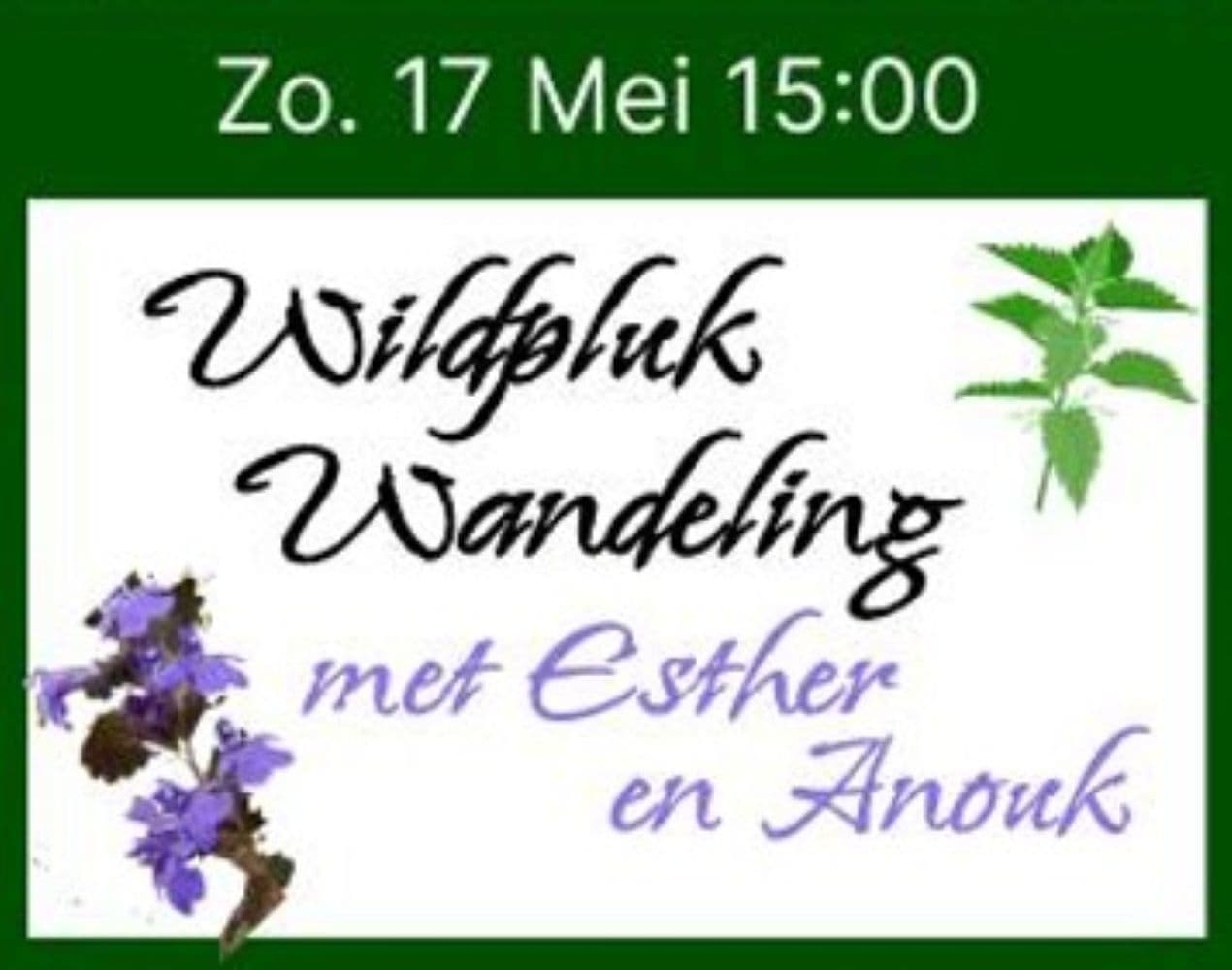 Wildpluk Wandeling 17 mei