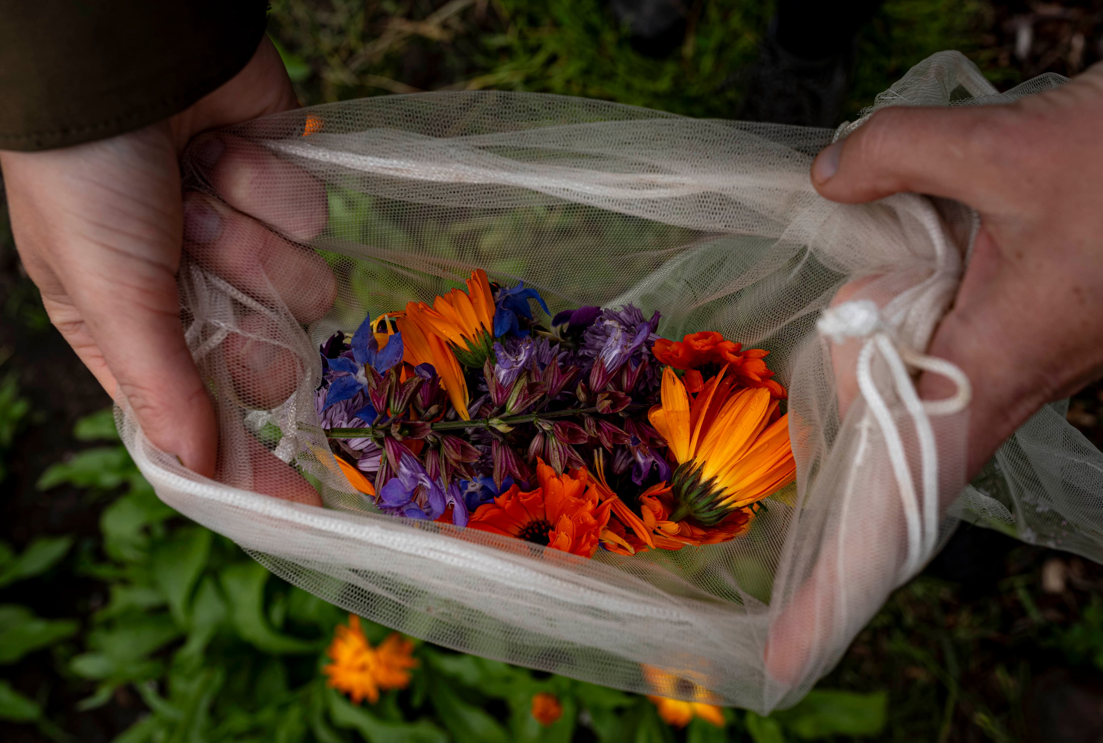 workshop wildplukken