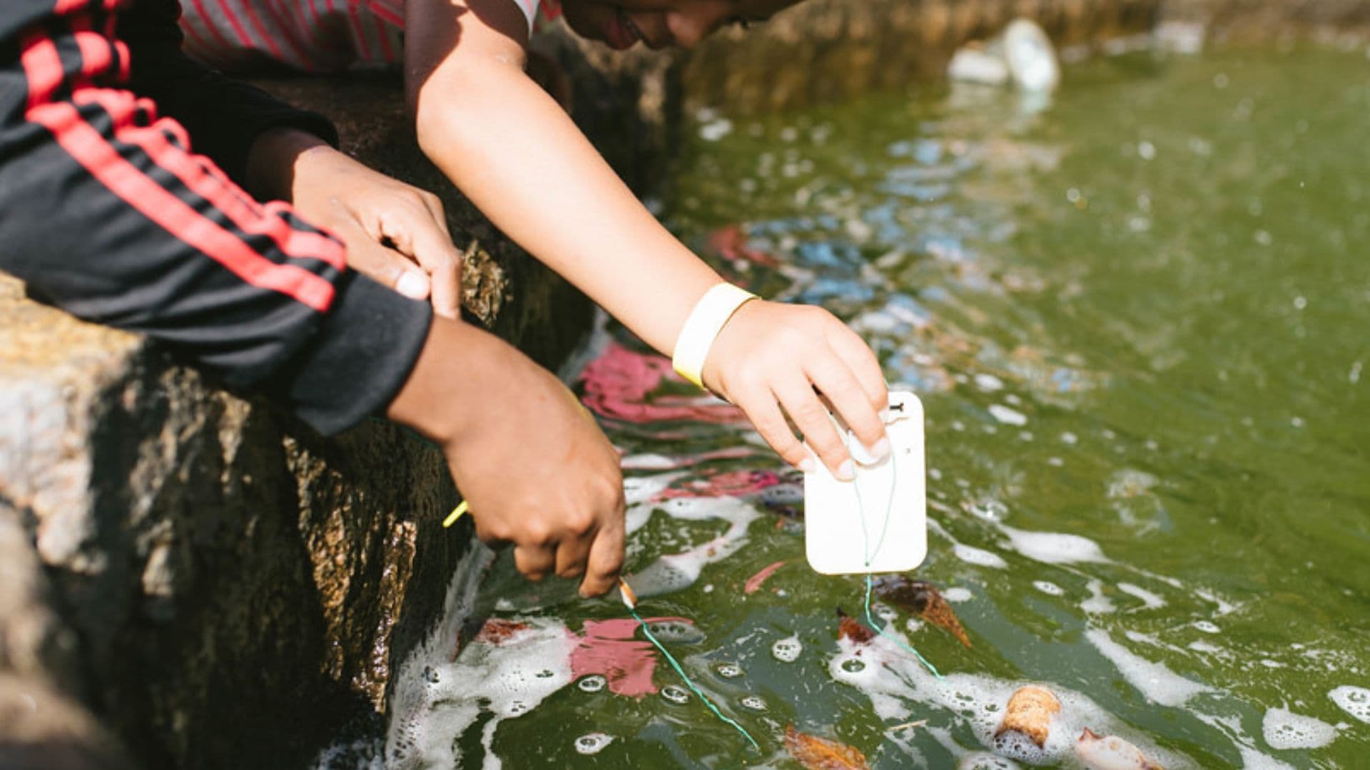 Handen boven het water met een tool die waterkwaliteit meet