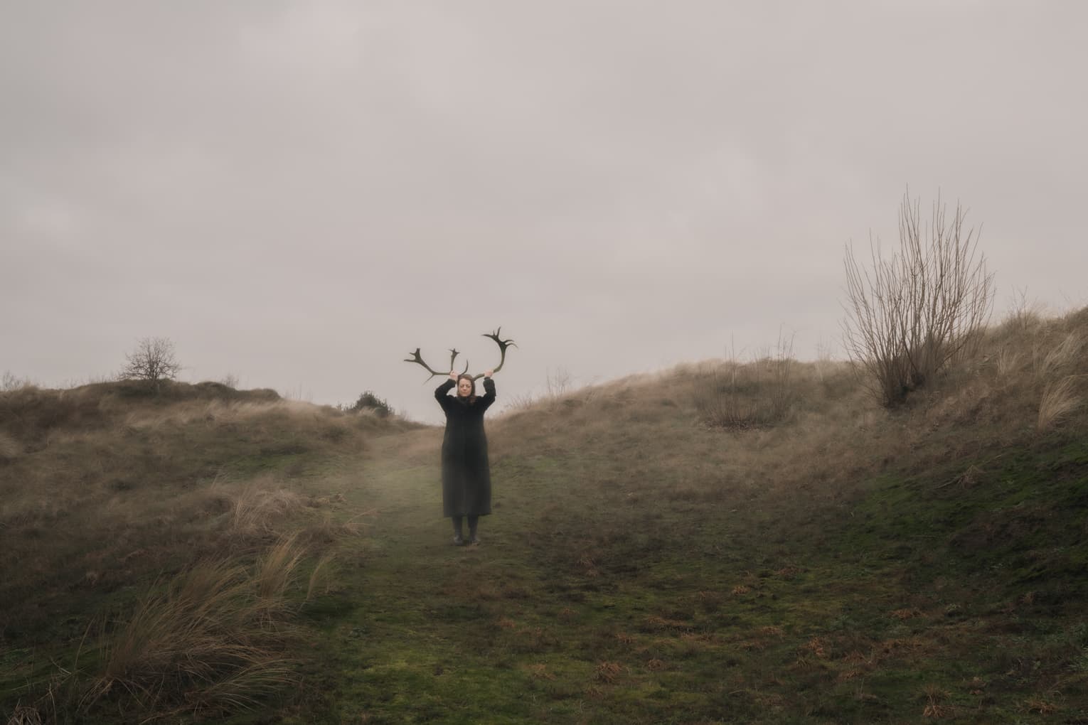 Murmurs under the Skin