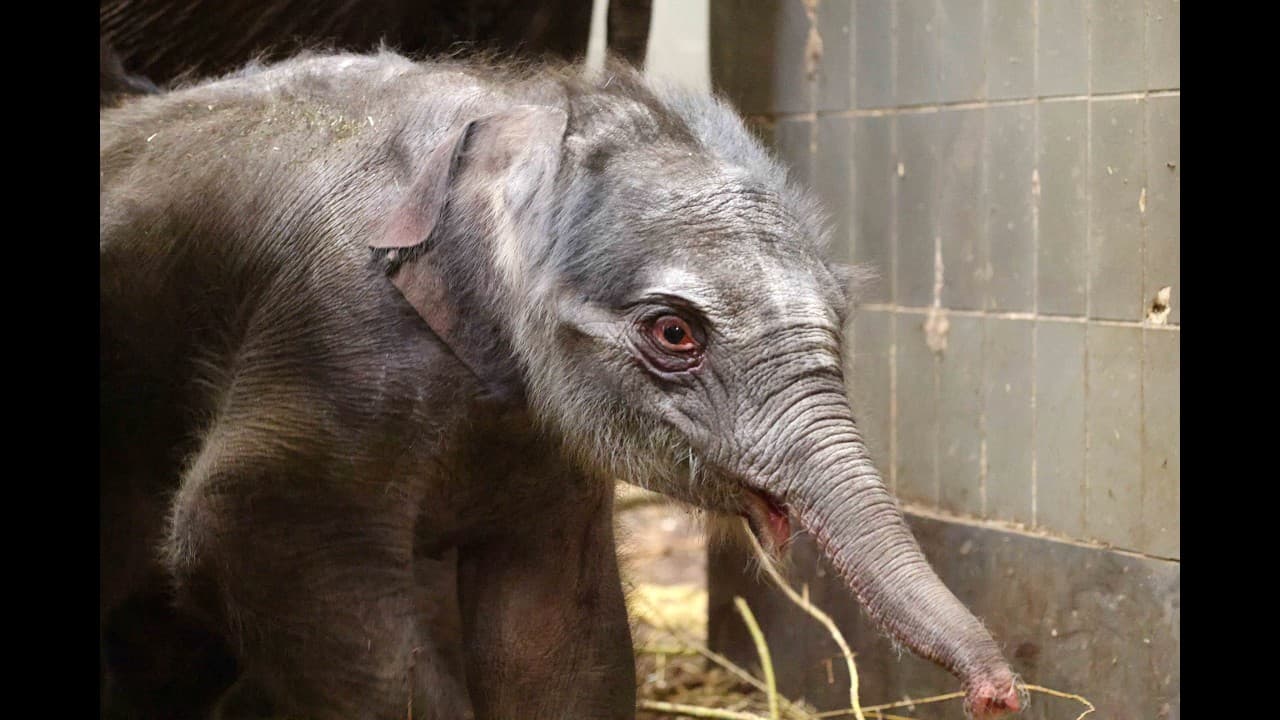 No title - Video thumbnail