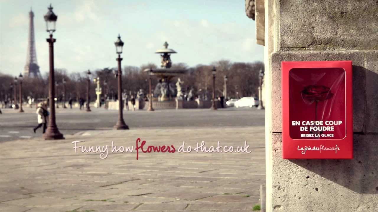 In case of love at first sight, break glass - Video thumbnail