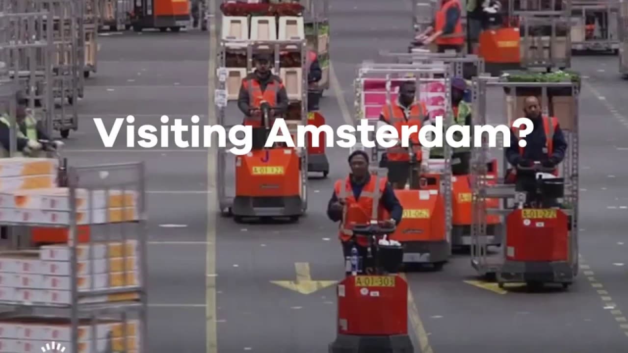 Royal Flora Holland- the worlds largest flower auction - Video thumbnail