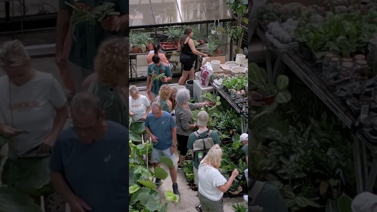 No title - Video thumbnail