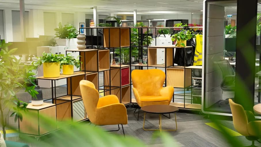 Office space with two yellow chairs, plants and shelving.