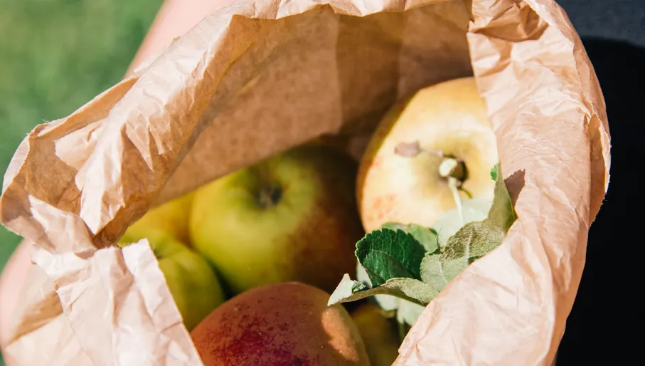 A paper bag of apples