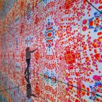 Moco Museum Advertorial Banksy KAWS Keith Haring