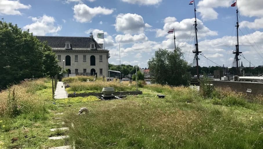 Permavoid x AMS Institute smart roof project. Green roof with grass, blue skies and ship masts in the background.