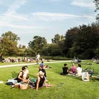 People sitting on the grass in Vondelpark in Summer