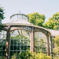 The Hortus Botanicus botanical gardens greenhouse.