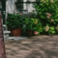 Amsterdam pole / Amsterdammertje