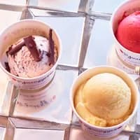 IJscuypje ice cream in a cup