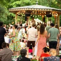 Music field with band playing during Artis Zoomeravonden Summer Nights zoo
