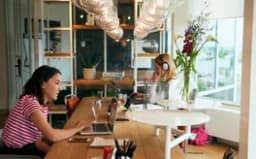 Zoku people working on their laptops
