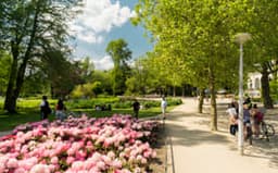 Blossoming Vondelpark