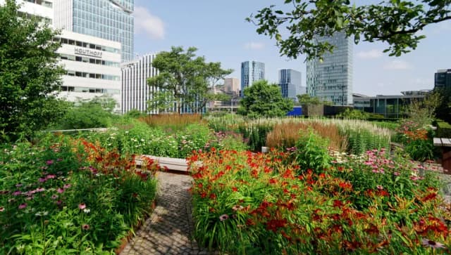 sustainable initiatives increasing urban biodiversity