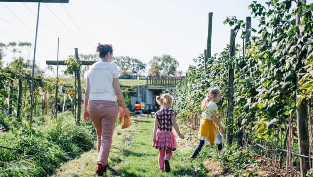 Family and kids picking fruit at Fruittuin van West