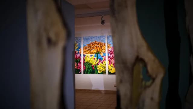 July 2024 Press Trip: Waterlines and lakeside views of Amsterdam