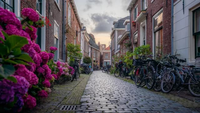 Townhouses alley in Haarlem