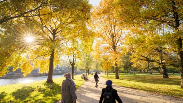 People taking a walk in a sunny Westerpark.