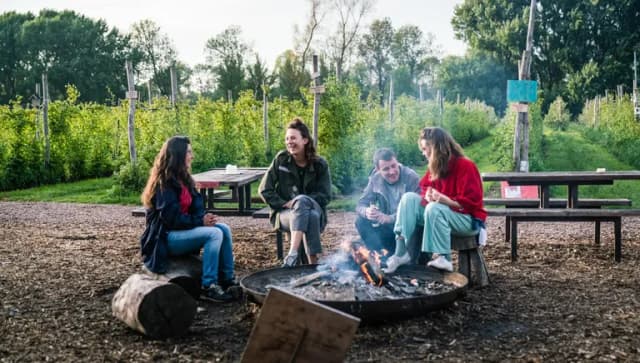 People sitting around the campfire at Fruittuin van West.