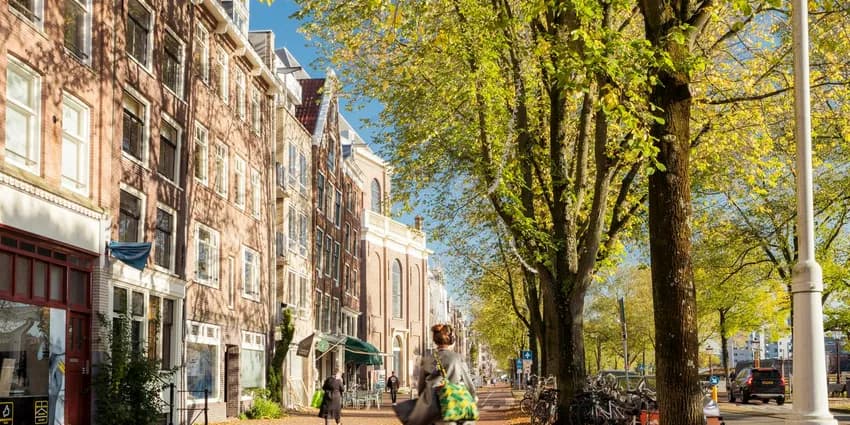 A  cyclist cycles on the biking lane of a sunny Wittenburgergracht.