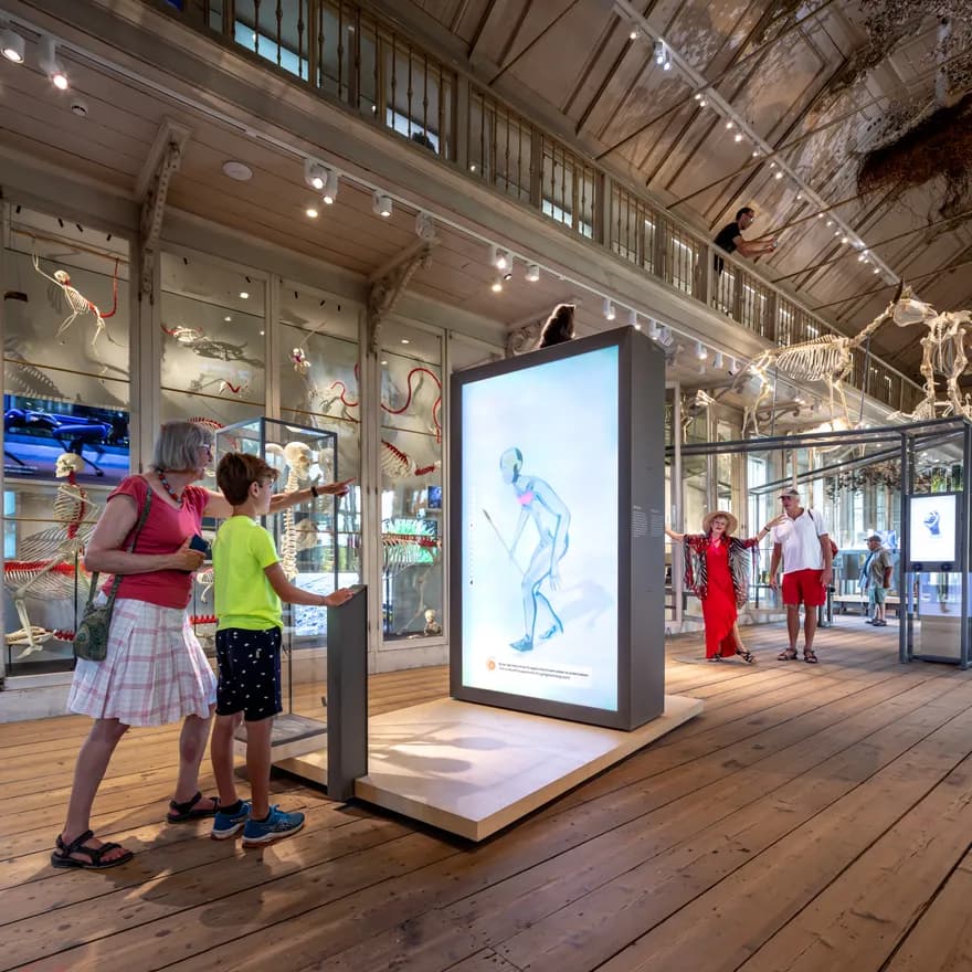 Groote Museum, ARTIS Amsterdam