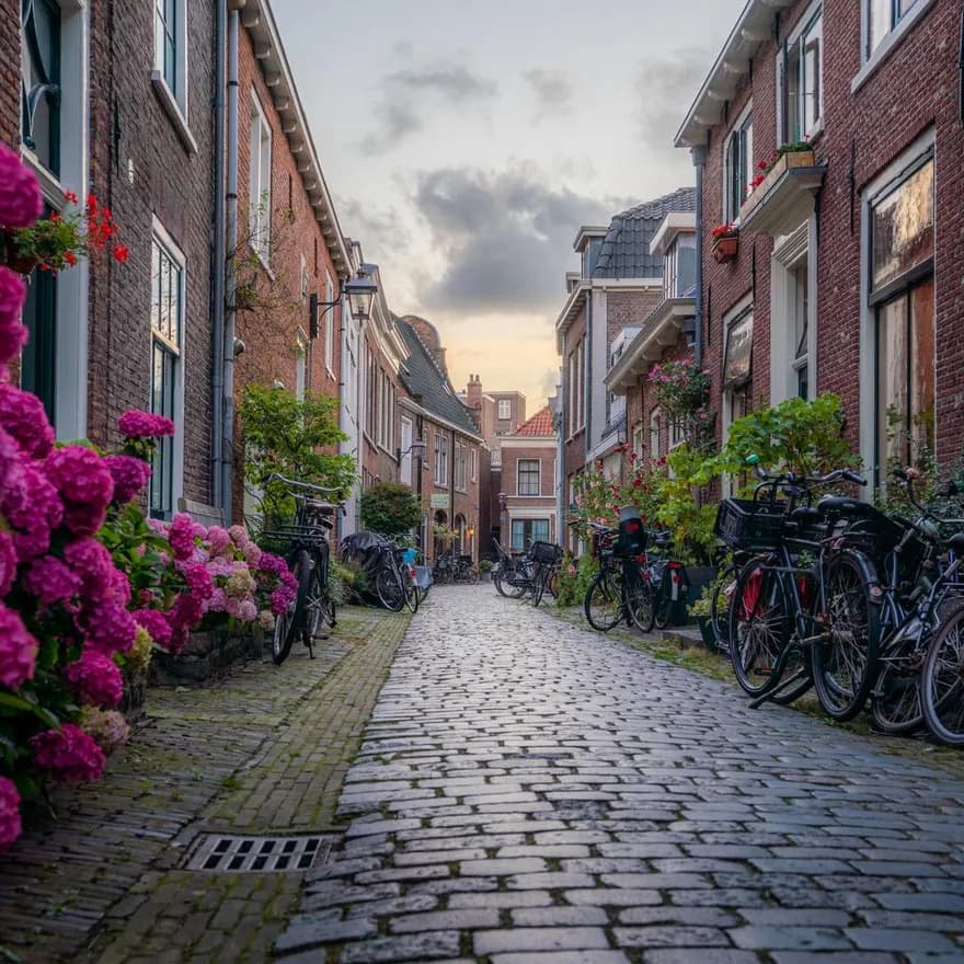 Townhouses alley in Haarlem