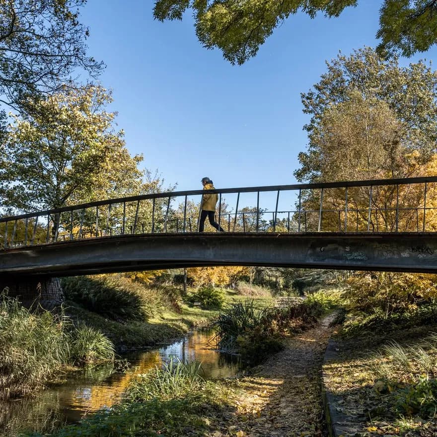 A person is walking over a bridge at the Westerpark on a sunny fall day.