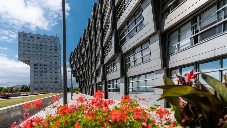 This modern flat building in Almere with living spaces is called The Wave.