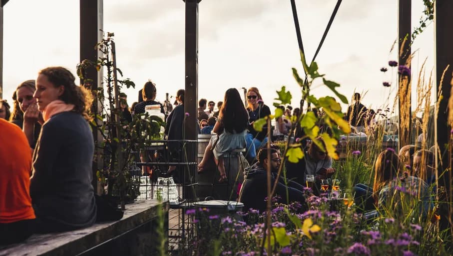 GAPP rooftop terrace with people