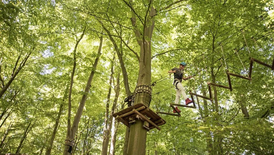 Outdoor and adventure activities in Amsterdam | I amsterdam