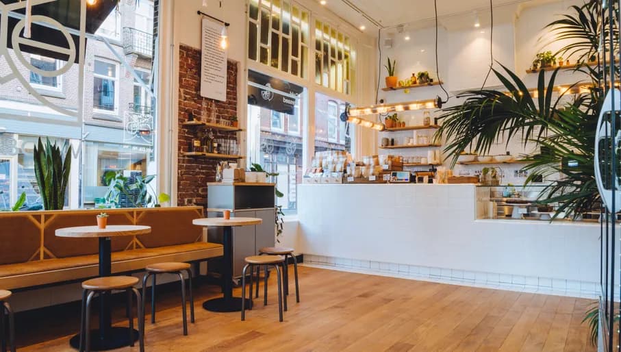 Interieur of Wild & The Moon