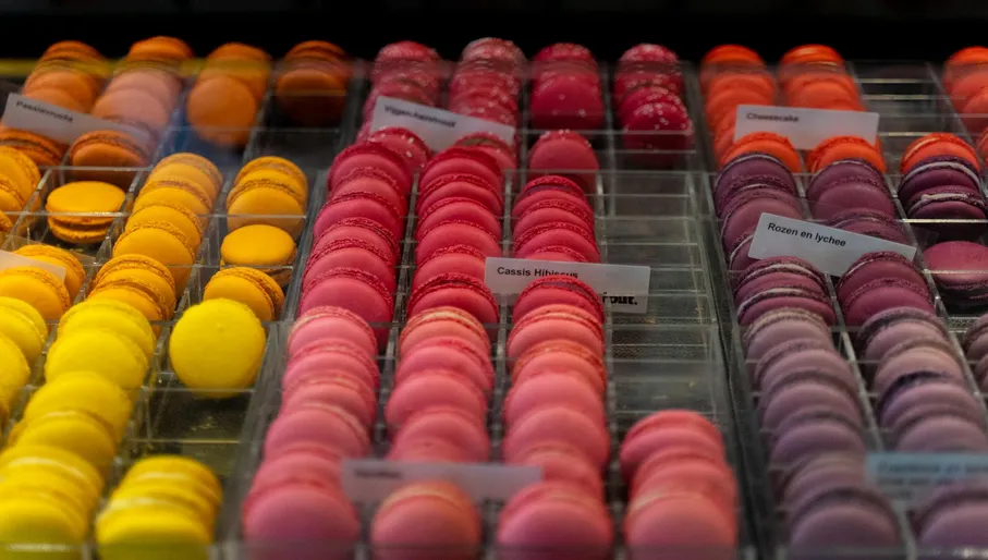 Tout Patisserie, macarons in different colors