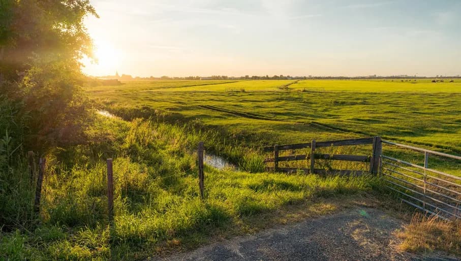 The grassland of the Goois Nature reserve with sunrise.
