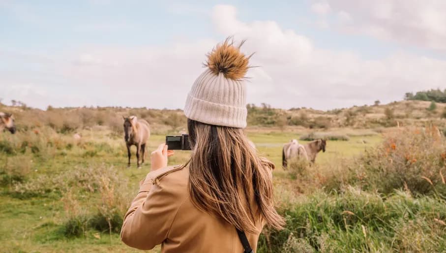 Please tag @juliakniese - trip Haarlem oktober