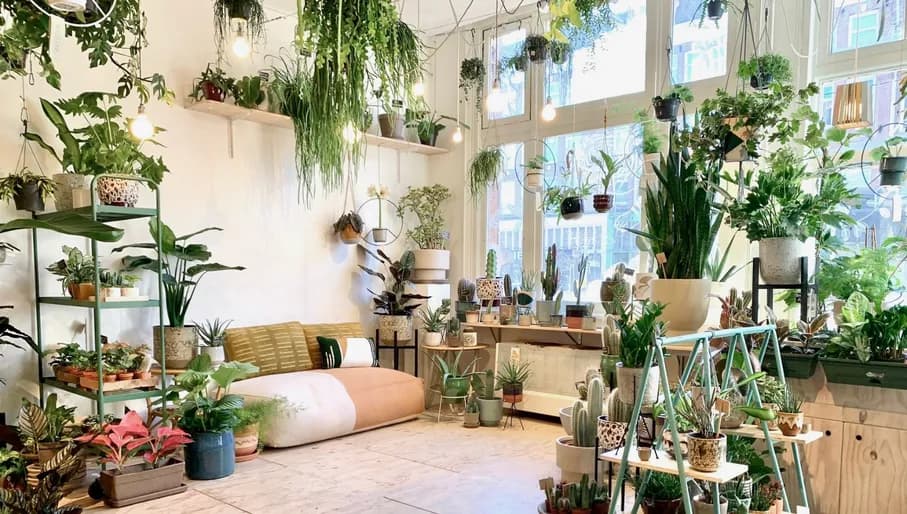 Wildernis plantshop interior