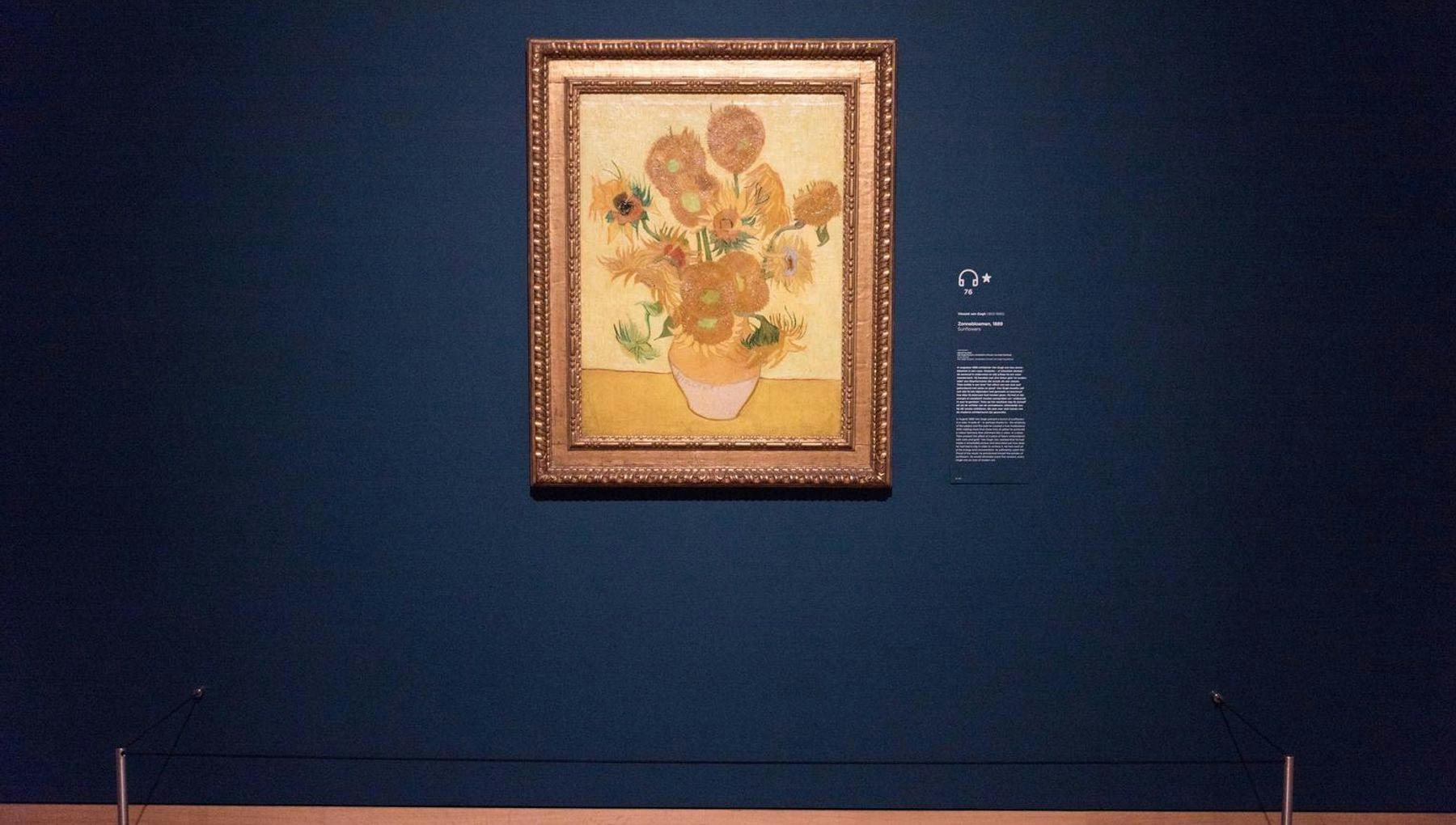 Van Gogh Museum sunflowers zonnebloem